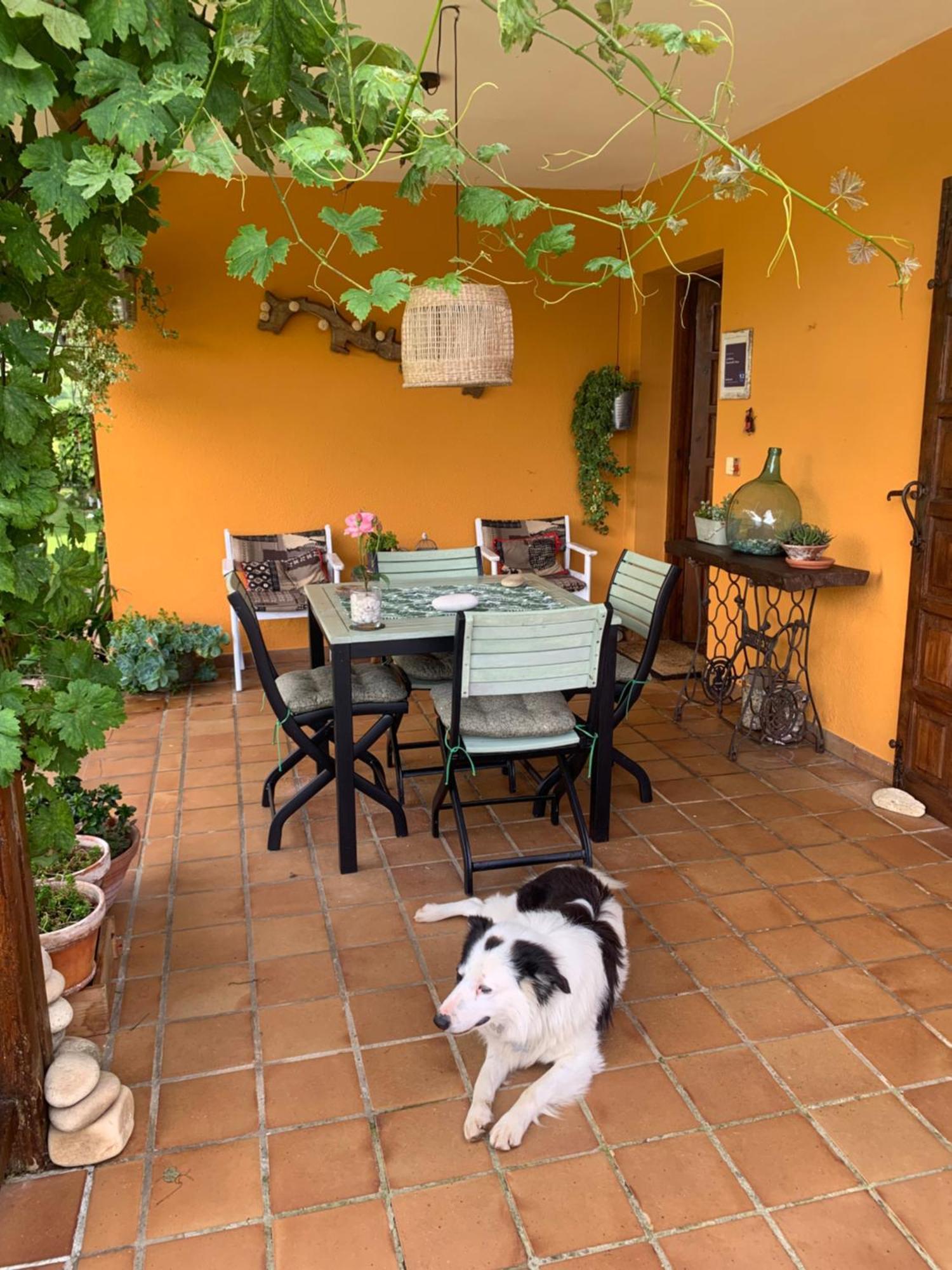 Ferienwohnung La Penona Carancos 48 En Nava Exterior foto